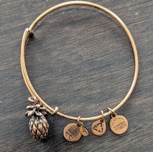 Alex and Ani Bronze Pineapple Charm Bracelet